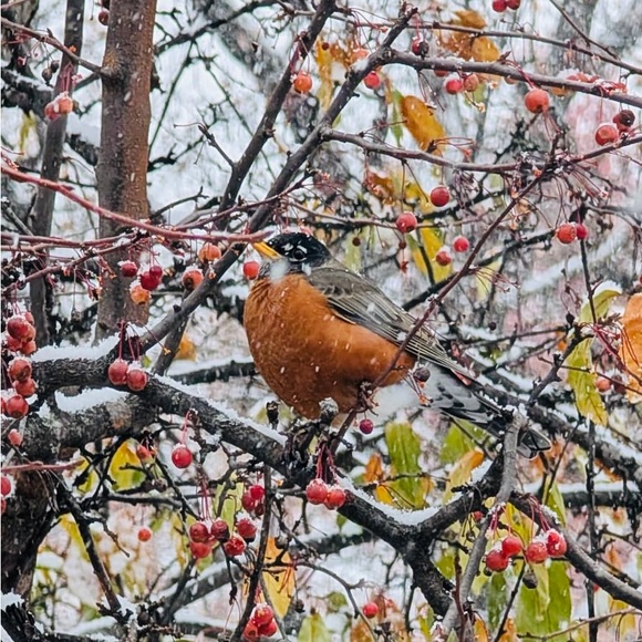 ✨Bookmark me✨ - Picture 15 of 16